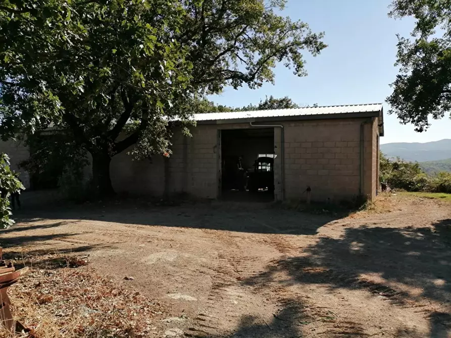 Immagine 23 di Azienda agricola in vendita  a Murlo