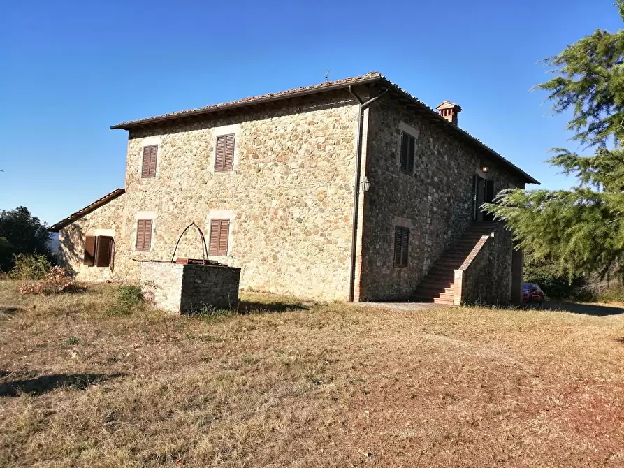 Immagine 9 di Azienda agricola in vendita  a Murlo