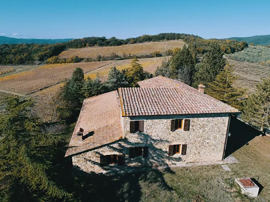 Immagine 5 di Azienda agricola in vendita  a Murlo
