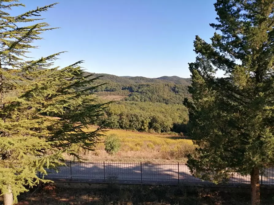 Immagine 29 di Azienda agricola in vendita  a Murlo