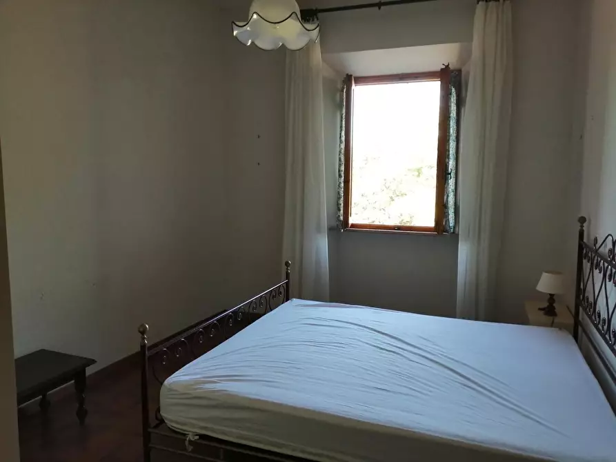 Immagine 32 di Azienda agricola in vendita  a Murlo