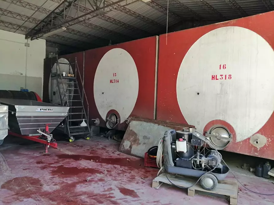 Immagine 45 di Azienda agricola in vendita  a Murlo