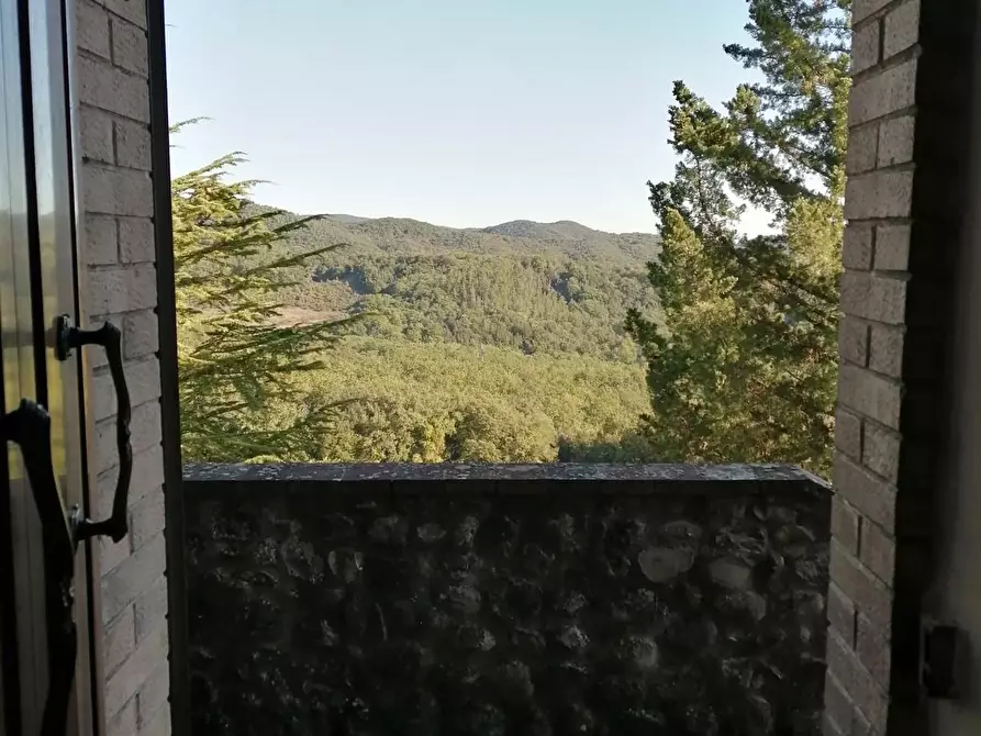 Immagine 27 di Azienda agricola in vendita  a Murlo