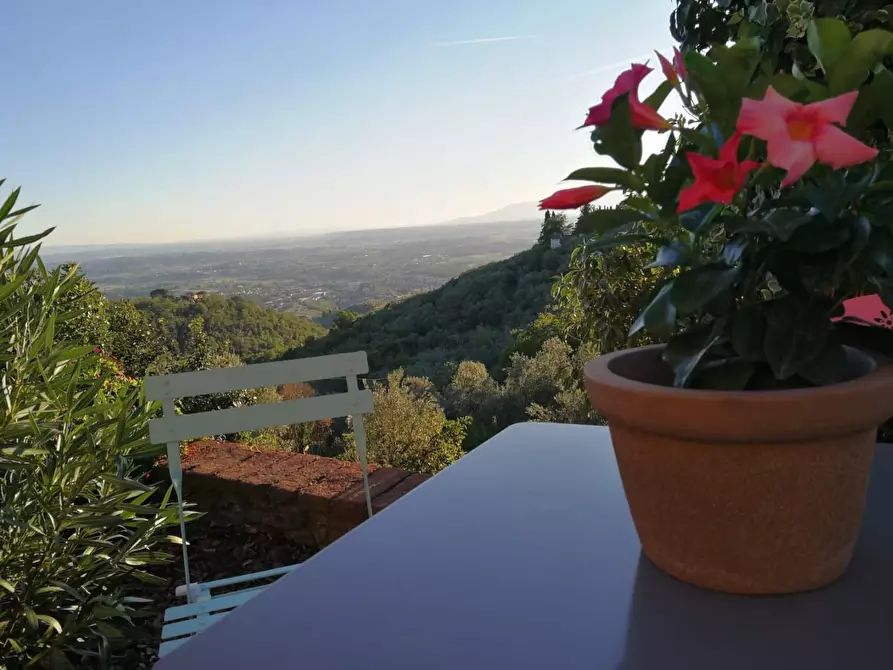 Immagine 30 di Casa colonica in vendita  a Lamporecchio