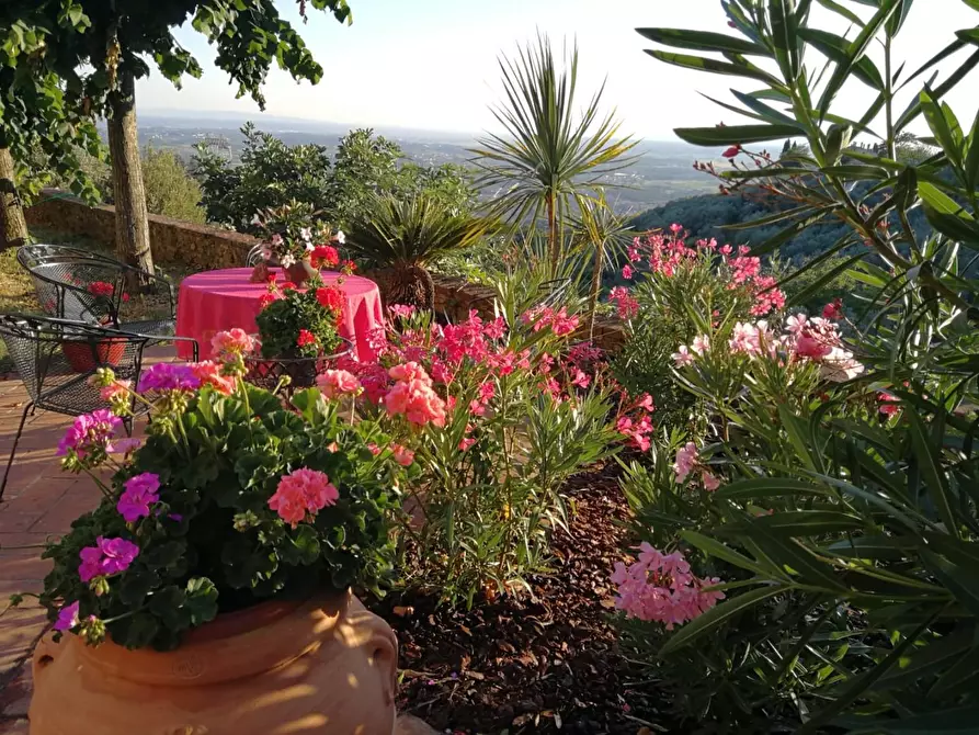 Immagine 25 di Casa colonica in vendita  a Lamporecchio