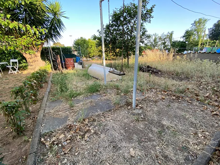 Immagine 16 di Appartamento in vendita  a Rosignano Marittimo