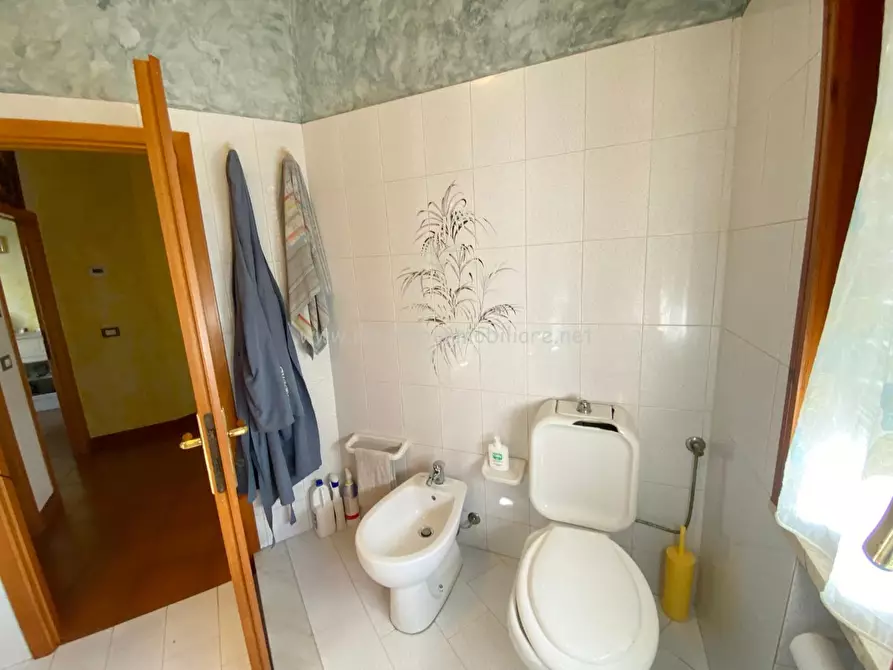 Immagine 12 di Appartamento in vendita  a Rosignano Marittimo