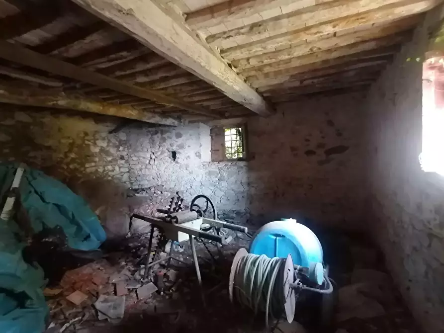 Immagine 3 di Rustico / casale in vendita  a Lucca