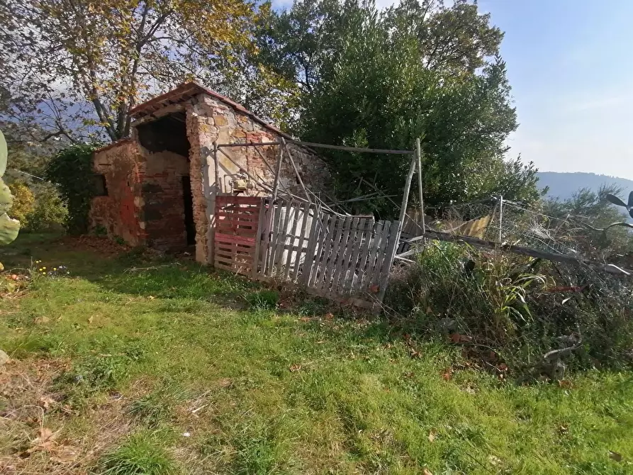 Immagine 34 di Rustico / casale in vendita  a Lucca