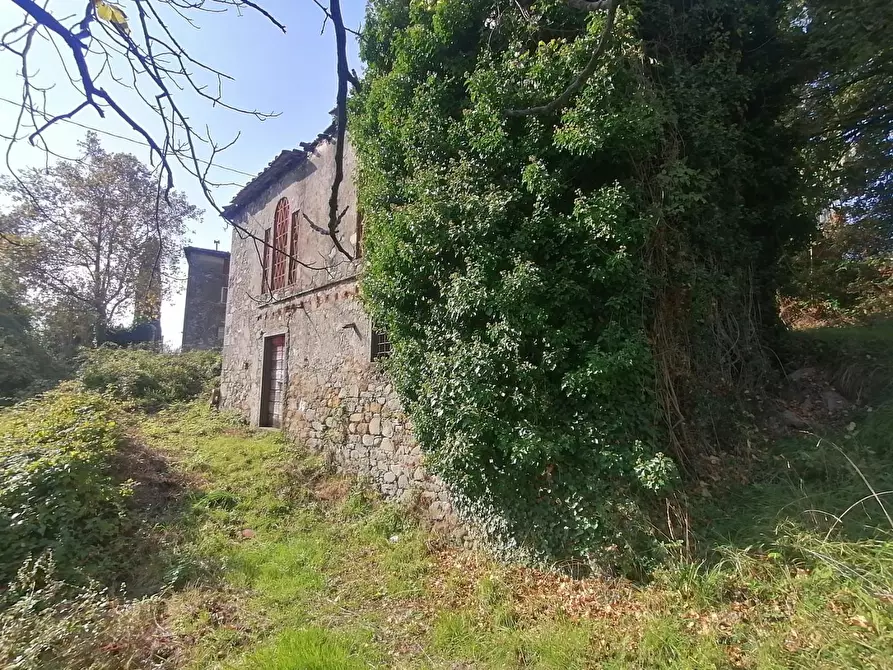 Immagine 6 di Rustico / casale in vendita  a Lucca