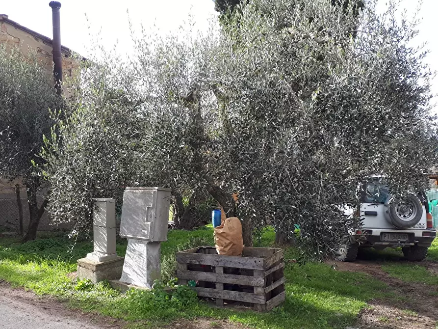 Immagine 9 di Porzione di casa in vendita  a San Miniato