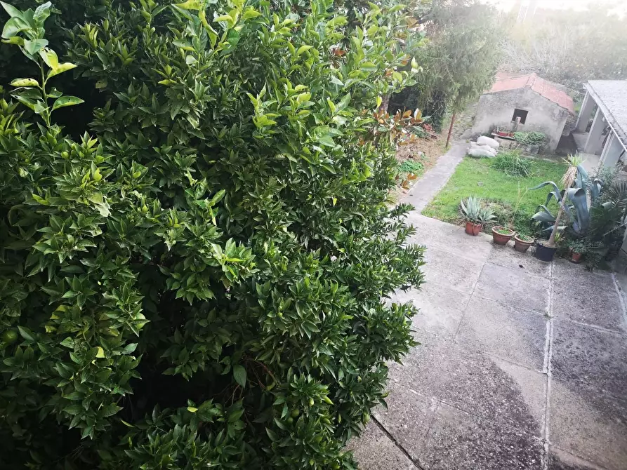 Immagine 11 di Casa bifamiliare in vendita  a Cascina