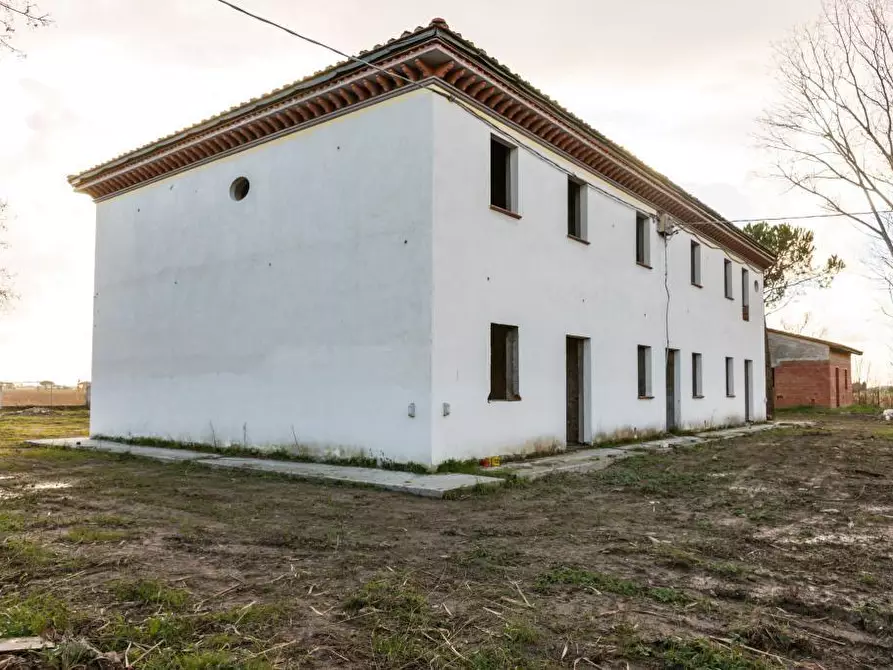 Immagine 8 di Rustico / casale in vendita  a San Giuliano Terme