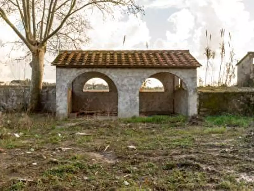 Immagine 7 di Rustico / casale in vendita  a San Giuliano Terme