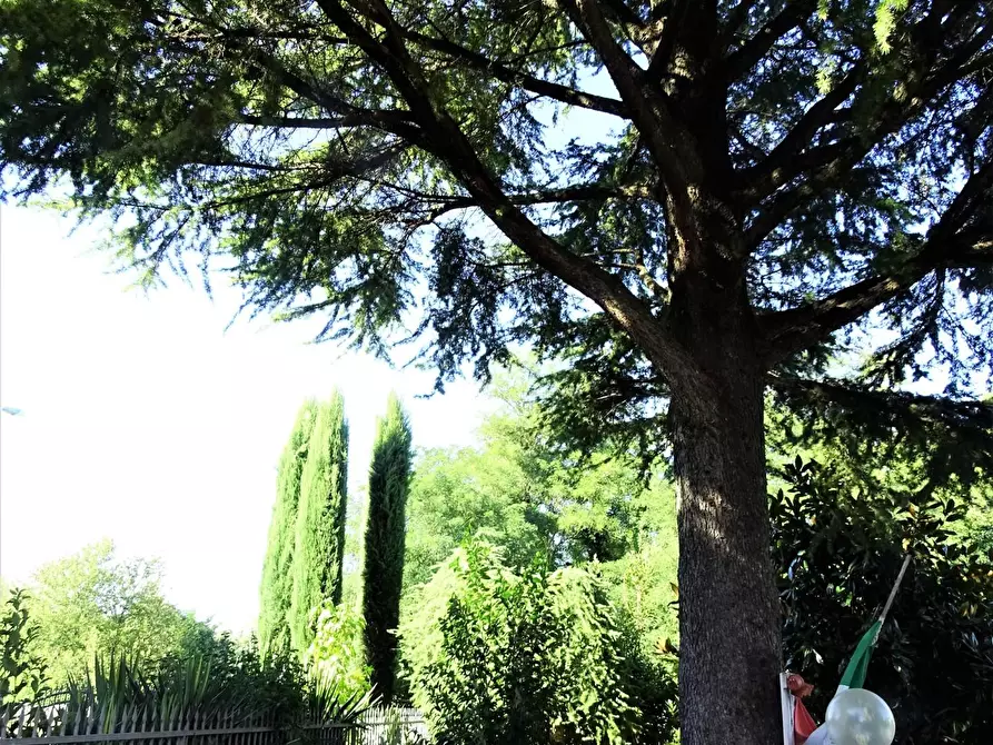 Immagine 49 di Casa indipendente in vendita  a San Miniato