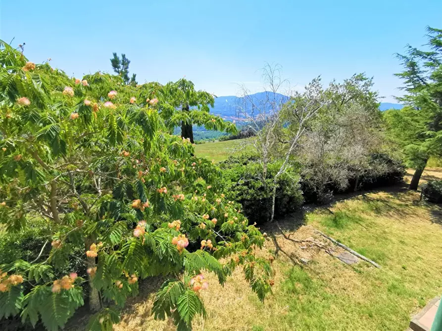 Immagine 26 di Casa trifamiliare in vendita  a Pomarance