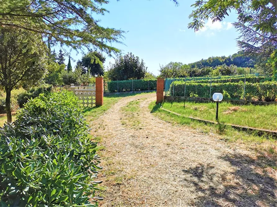 Immagine 22 di Casa trifamiliare in vendita  a Pomarance