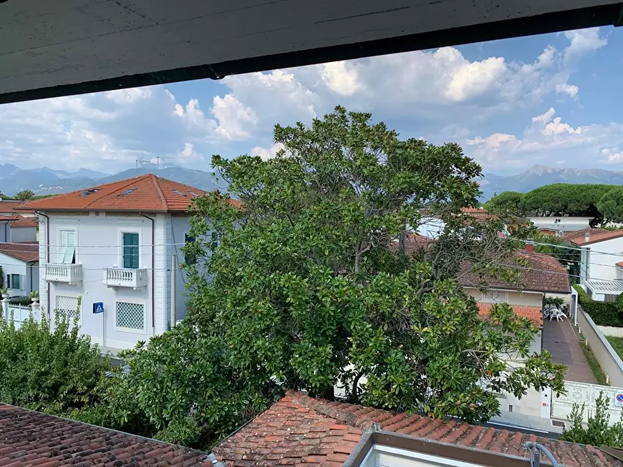 Immagine 16 di Mansarda in affitto  a Camaiore