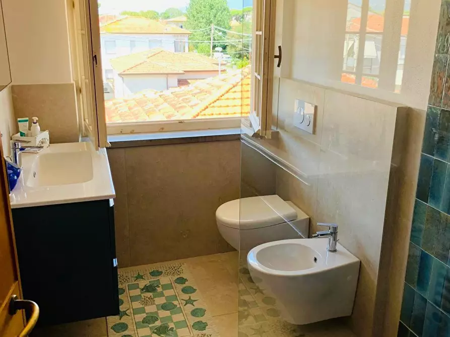 Immagine 23 di Mansarda in affitto  a Camaiore