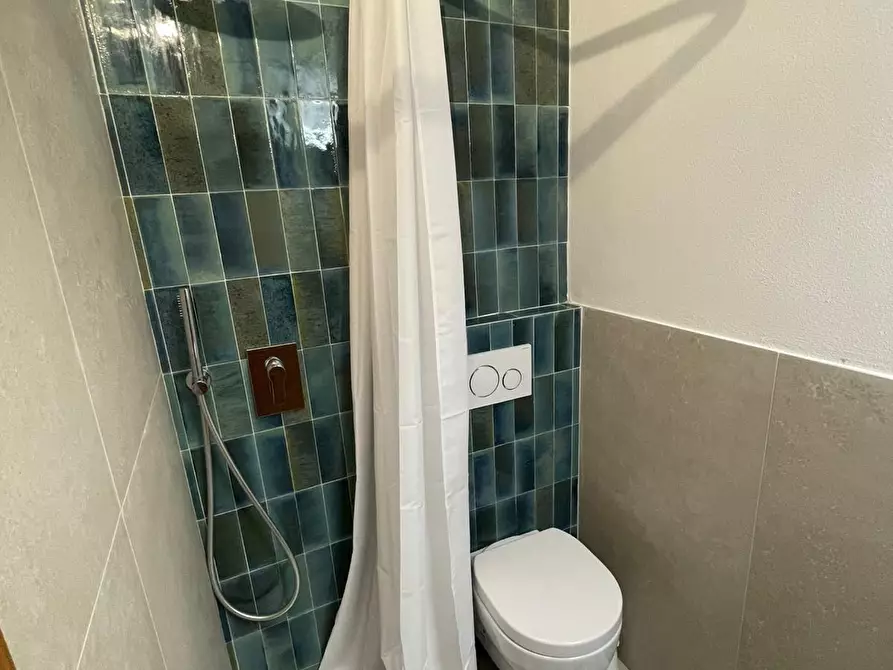 Immagine 27 di Mansarda in affitto  a Camaiore