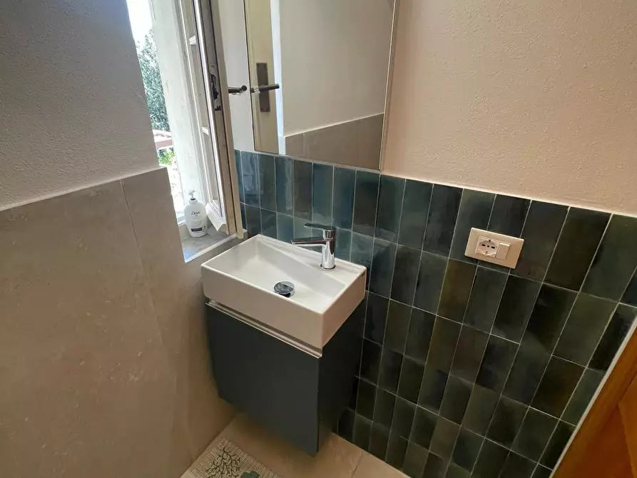 Immagine 26 di Mansarda in affitto  a Camaiore