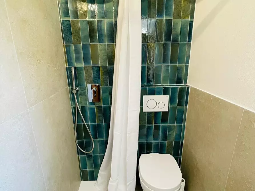 Immagine 25 di Mansarda in affitto  a Camaiore