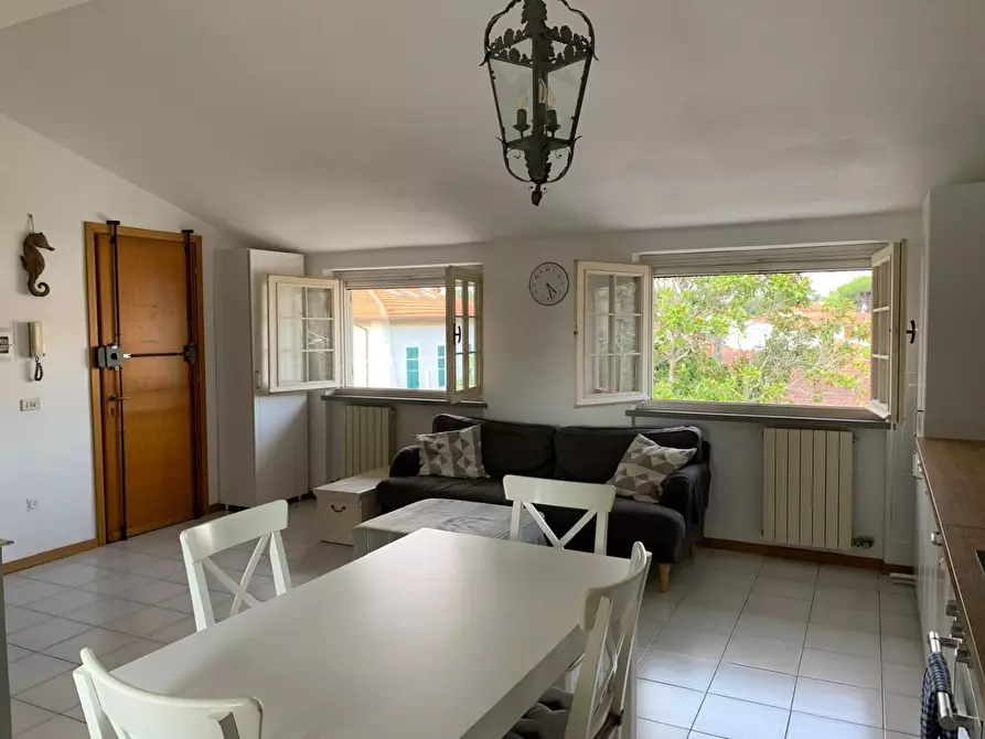 Immagine 28 di Mansarda in affitto  a Camaiore