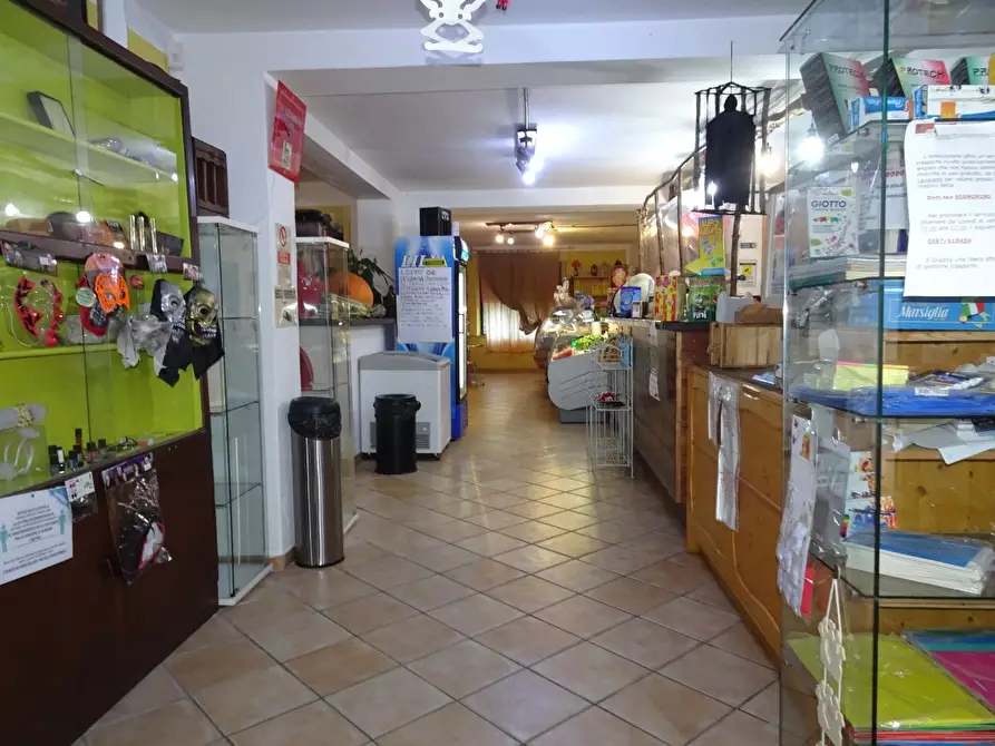 Immagine 3 di Attività commerciale in vendita  a Casciana Terme Lari