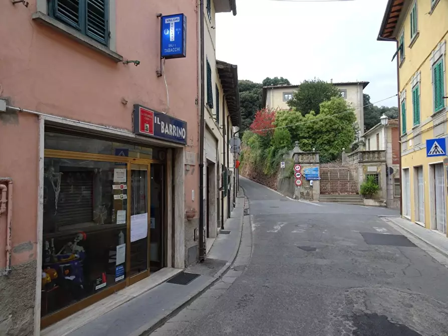Immagine 12 di Attività commerciale in vendita  a Casciana Terme Lari