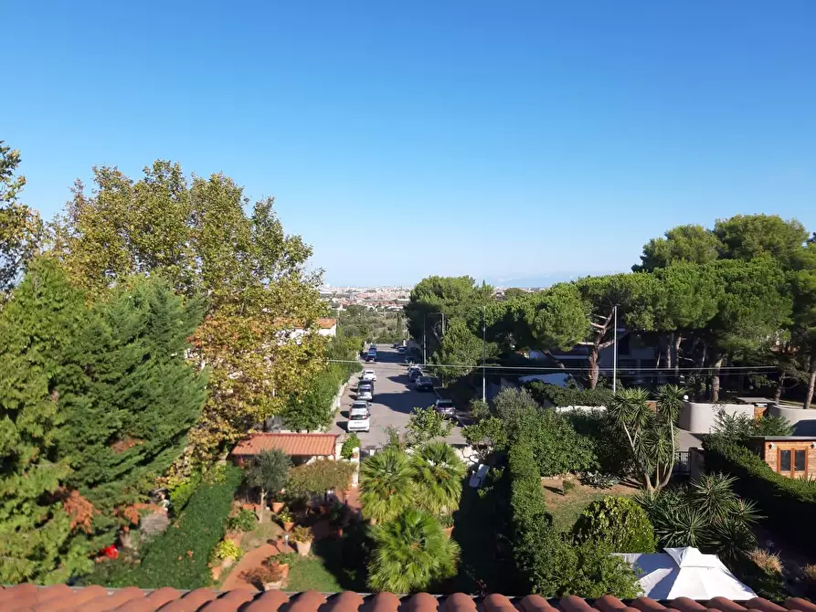 Immagine 28 di Appartamento in vendita  a Livorno