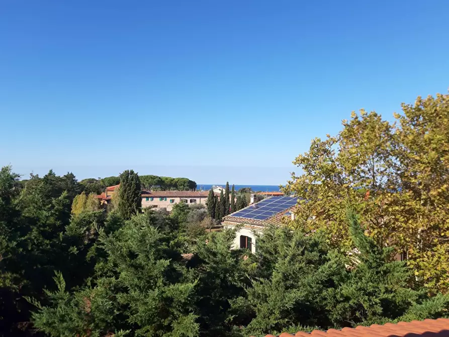 Immagine 27 di Appartamento in vendita  a Livorno