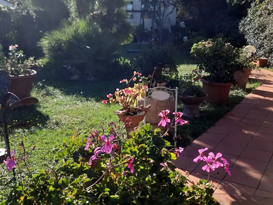 Immagine 20 di Appartamento in vendita  a Livorno