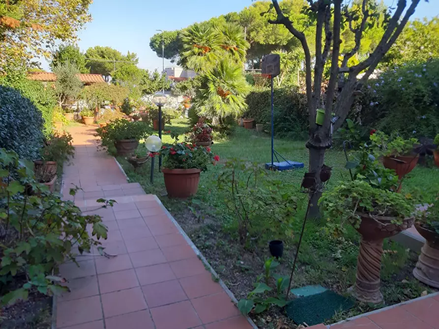 Immagine 26 di Appartamento in vendita  a Livorno