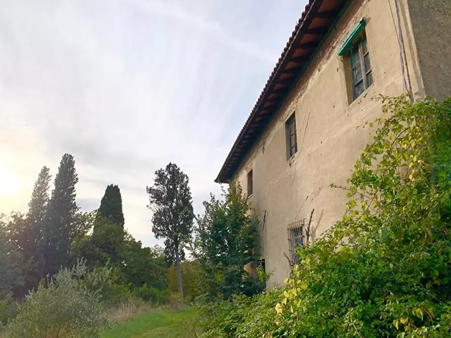 Immagine 4 di Casa colonica in vendita  a Cerreto Guidi