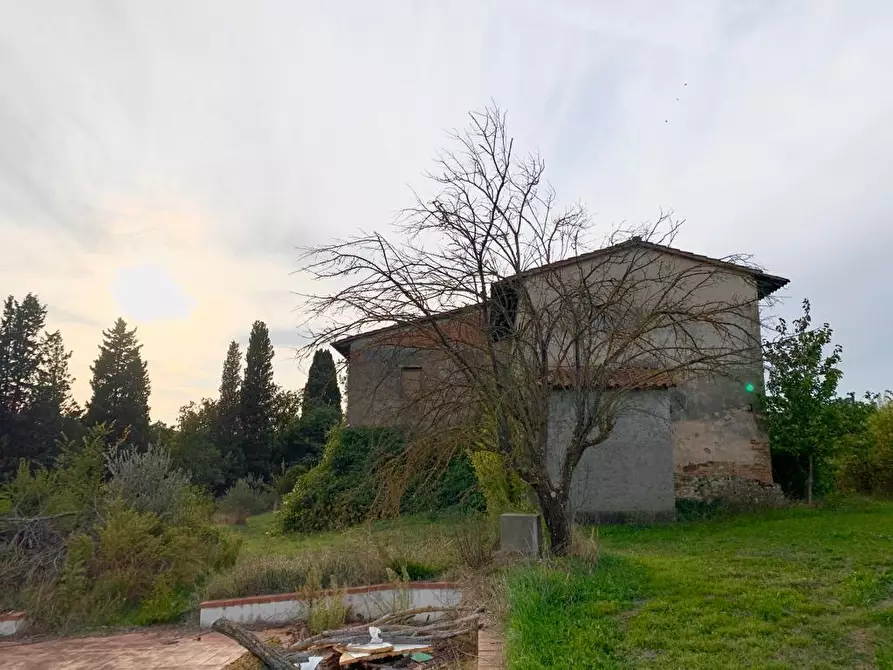 Immagine 5 di Casa colonica in vendita  a Cerreto Guidi