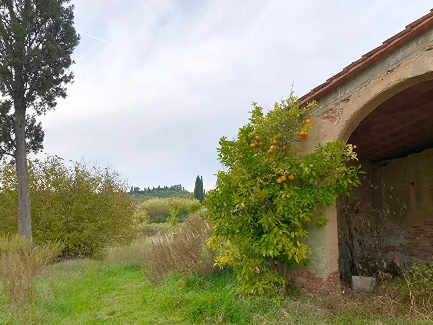 Immagine 6 di Casa colonica in vendita  a Cerreto Guidi