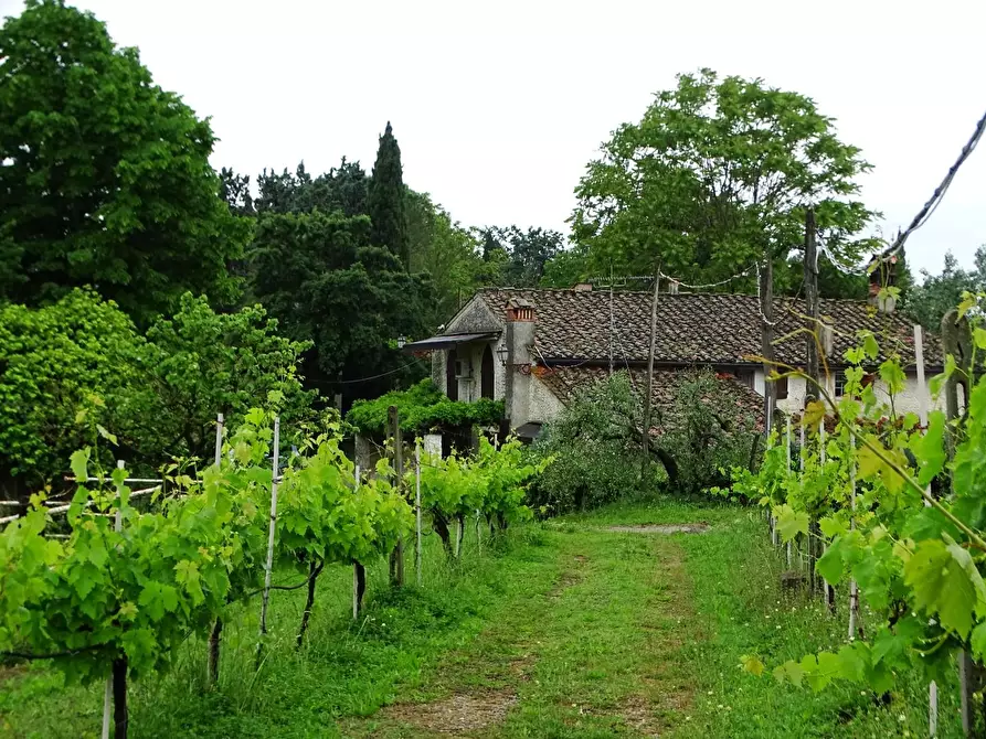 Immagine 2 di Villa in vendita  a San Miniato
