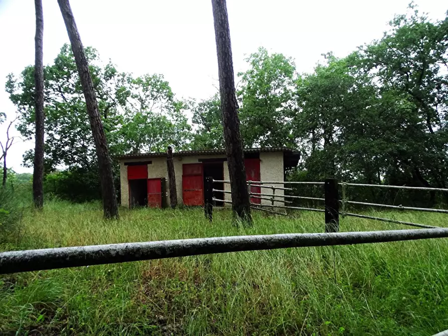 Immagine 22 di Villa in vendita  a San Miniato