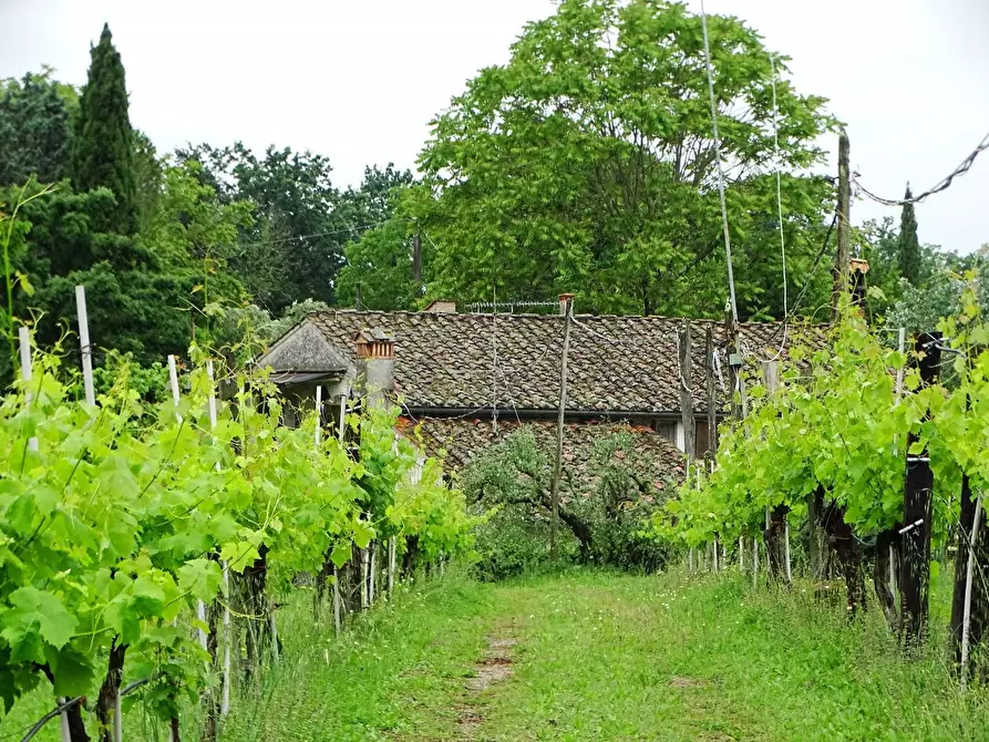 Immagine 11 di Villa in vendita  a San Miniato