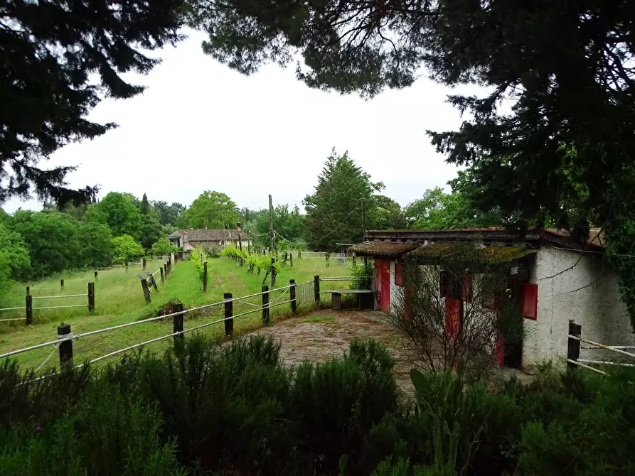 Immagine 14 di Villa in vendita  a San Miniato