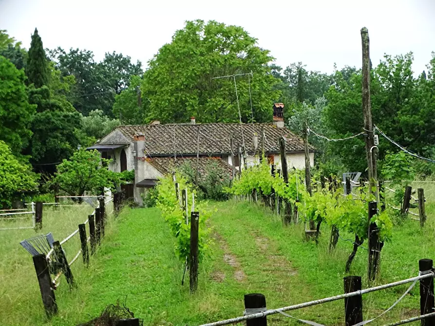 Immagine 12 di Villa in vendita  a San Miniato