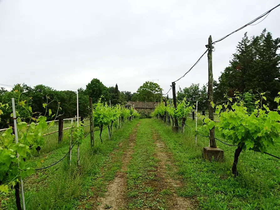Immagine 13 di Villa in vendita  a San Miniato