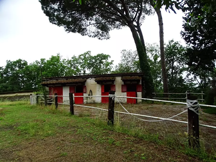 Immagine 19 di Villa in vendita  a San Miniato