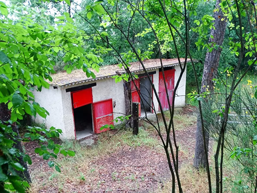 Immagine 20 di Villa in vendita  a San Miniato