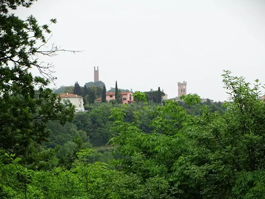 Immagine 3 di Villa in vendita  a San Miniato