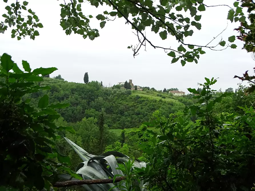 Immagine 31 di Villa in vendita  a San Miniato