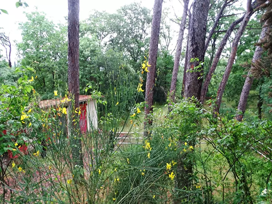 Immagine 21 di Villa in vendita  a San Miniato