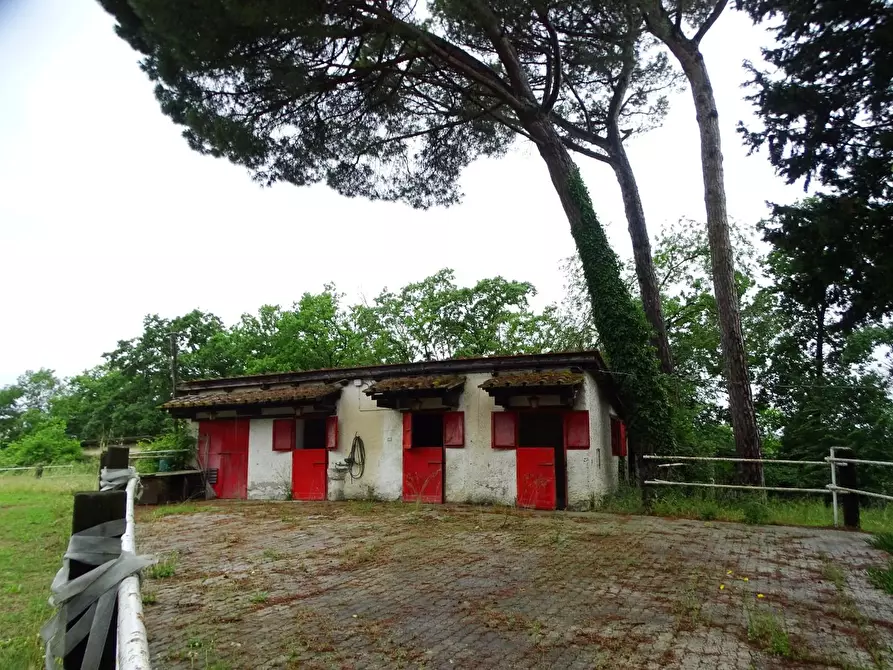 Immagine 16 di Villa in vendita  a San Miniato