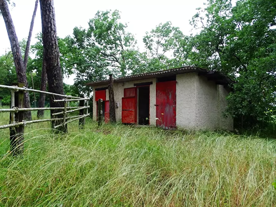 Immagine 23 di Villa in vendita  a San Miniato