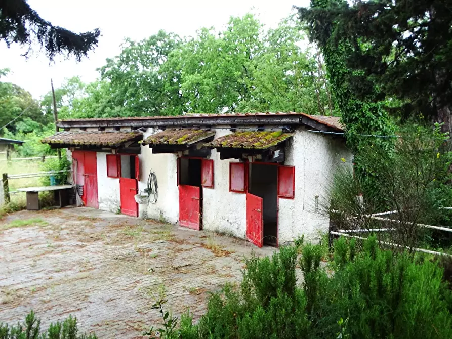 Immagine 15 di Villa in vendita  a San Miniato